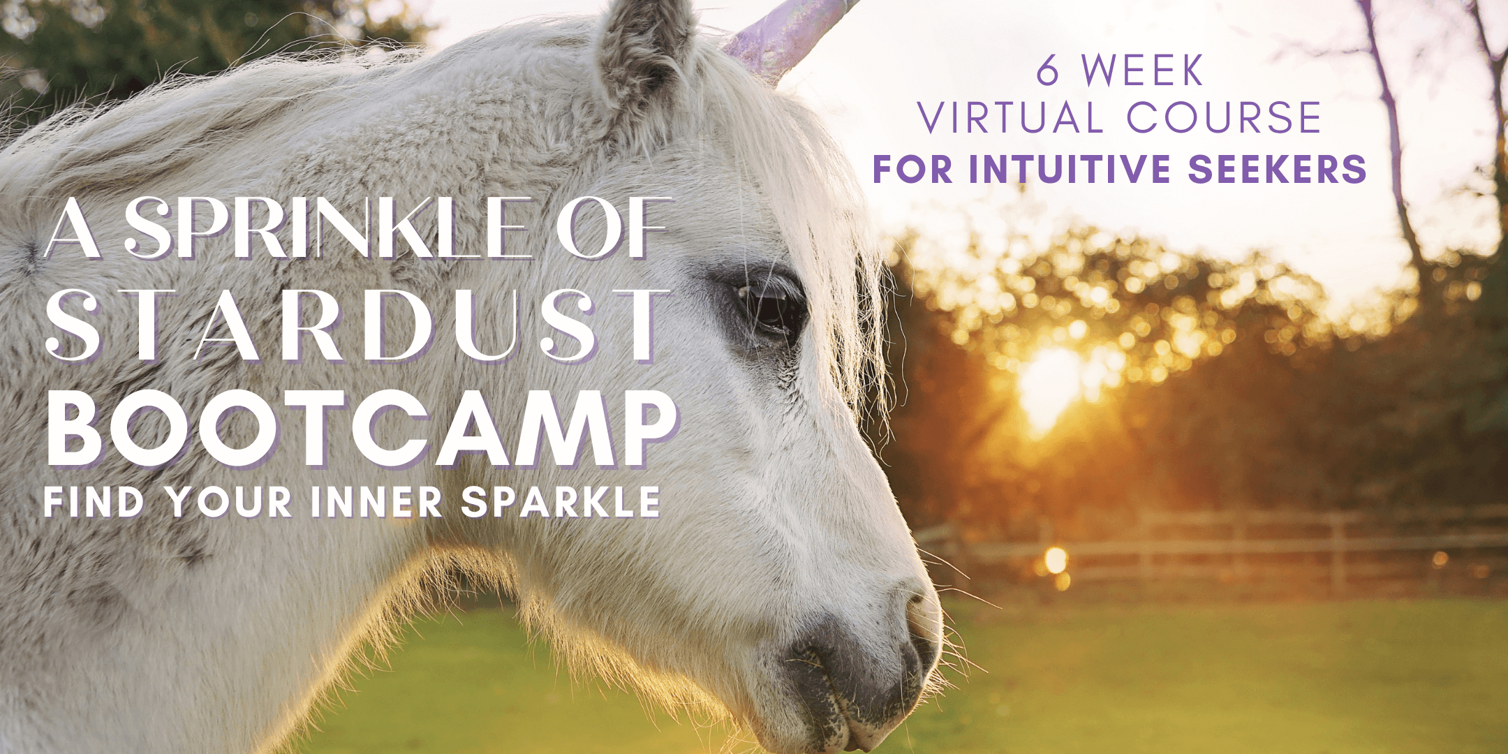 A Sprinkle of Stardust Boot Camp~ Build Your Intuitive Muscles